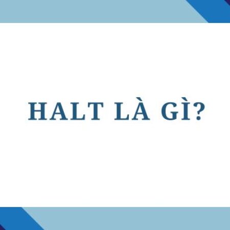 Halt là gì? Ý nghĩa và cách dùng từ Halt trong tiếng Anh