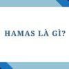 Hamas là gì? Tìm hiểu tổ chức Hamas và các vấn đề liên quan