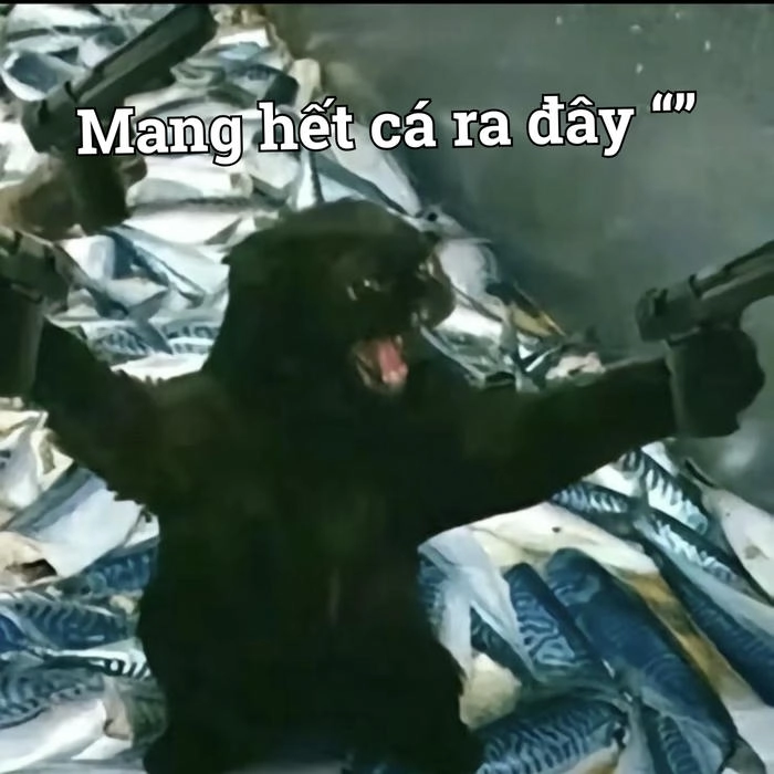 Meme vui nhộn về súng