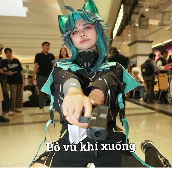 Meme vui về súng