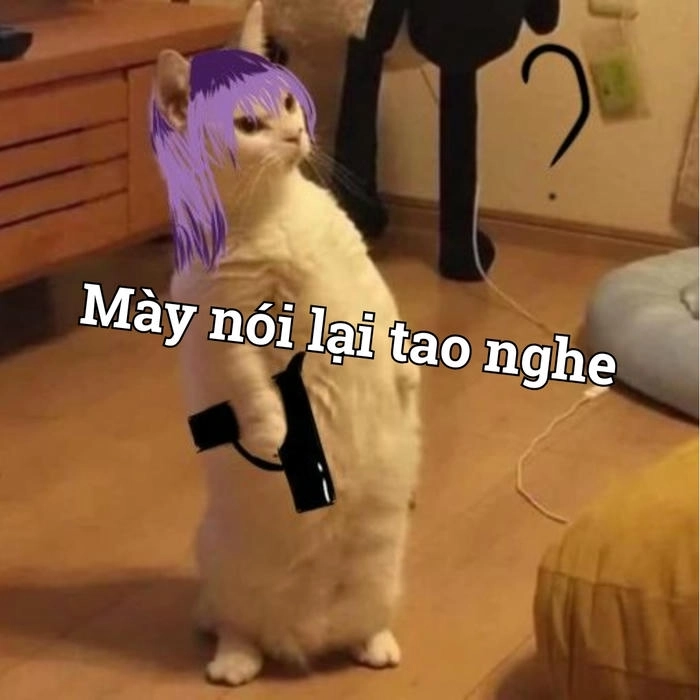 Meme châm biếm bắn súng