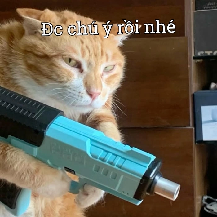Ảnh meme bắn súng