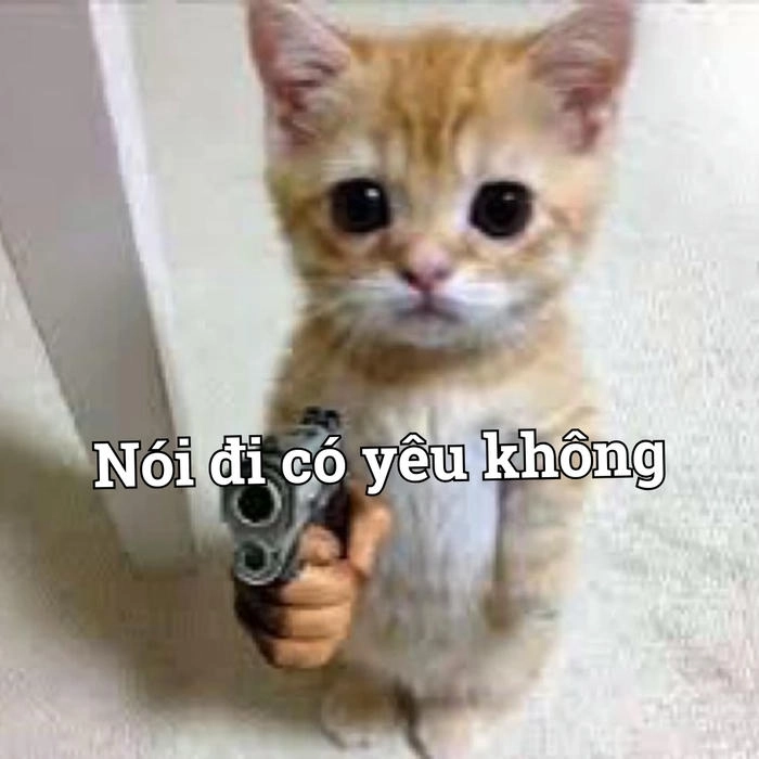 Meme súng châm biếm