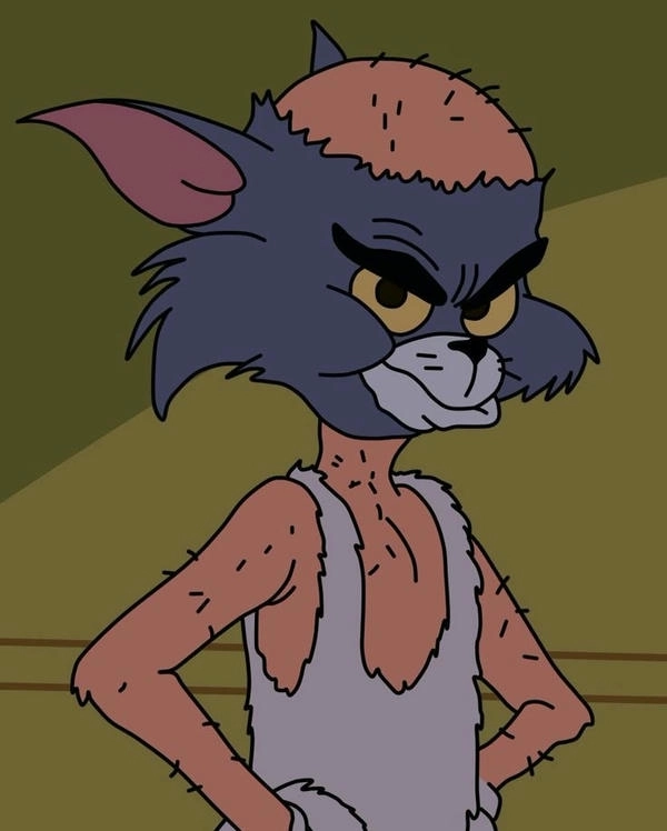 meme mèo tom