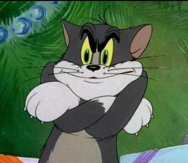 Meme chú mèo Tom