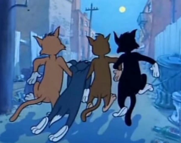 ảnh meme tom and jerry