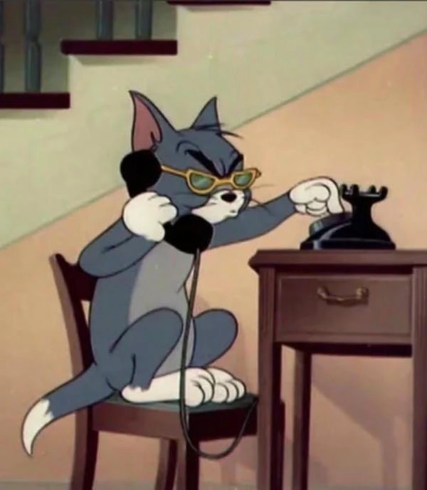Meme Tom and Jerry