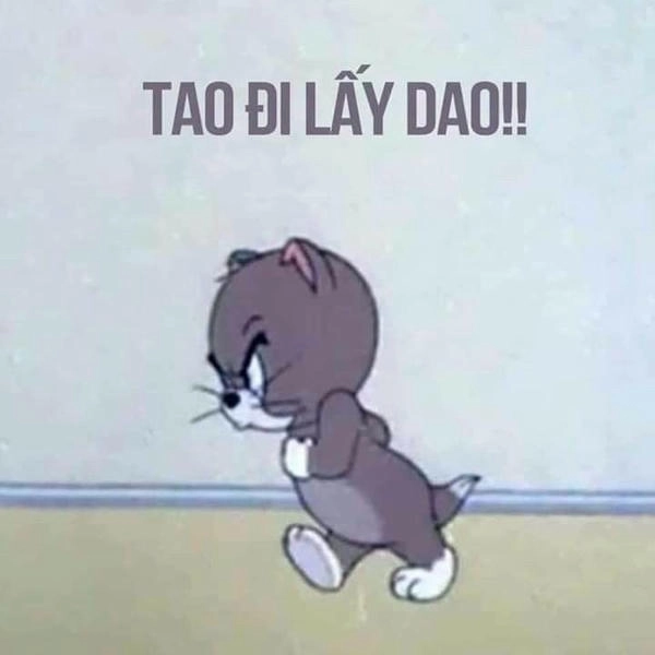 Meme Tom và Jerry nổi tiếng