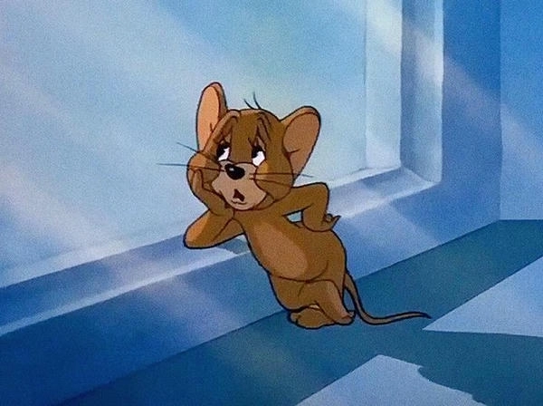 Meme chuột jerry