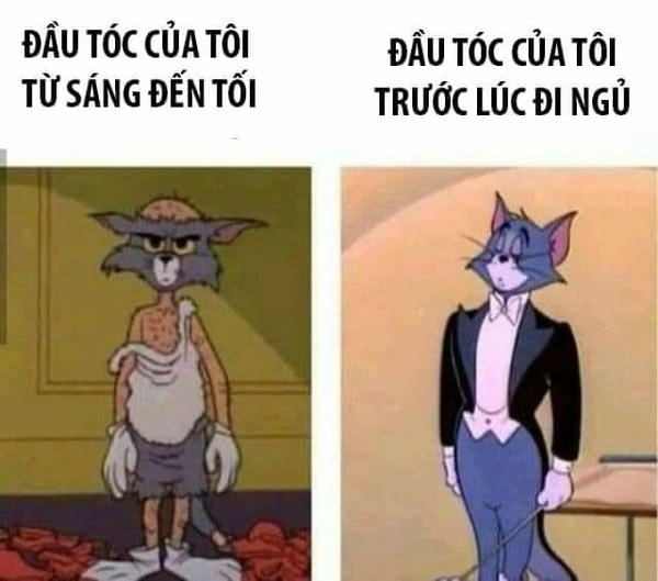Ảnh meme Tom và Jerry hài