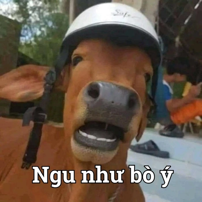 Meme bựa cực hài