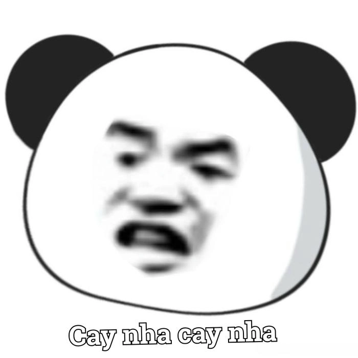 Hình ảnh meme bựa hài lòng