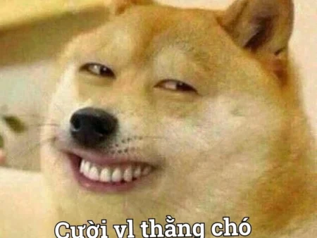 Cười rớt hàm cùng bộ sưu tập 60+ ảnh meme bựa, hài hước nhất