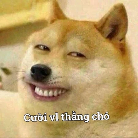 Cười rớt hàm cùng bộ sưu tập 60+ ảnh meme bựa, hài hước nhất