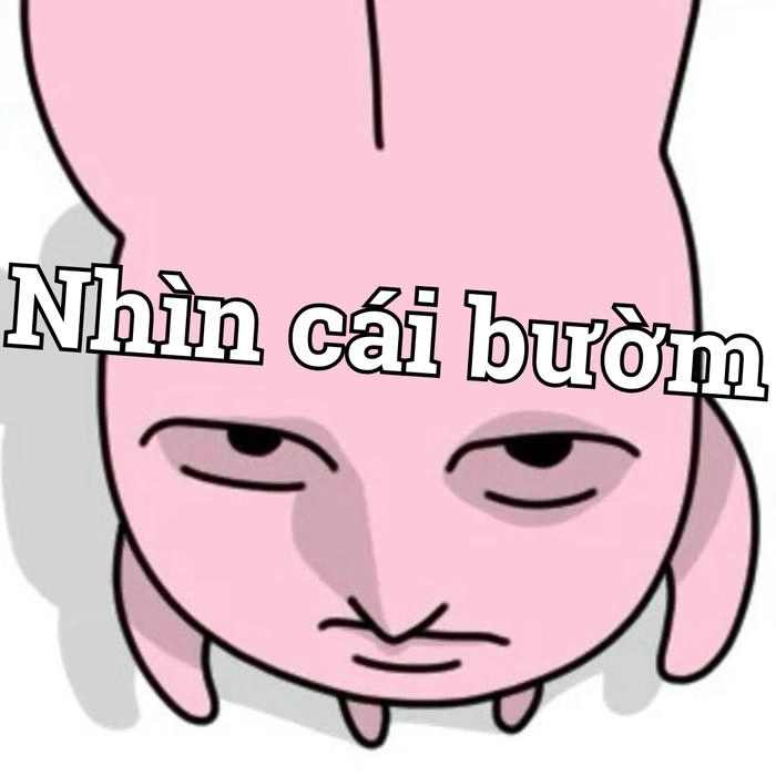 Meme bựa ảnh chế ngộ nghĩnh