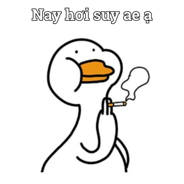 Meme bựa hình ảnh vui