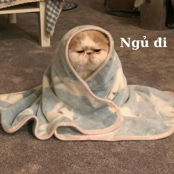 Meme chúc ngủ ngon cute cho bé