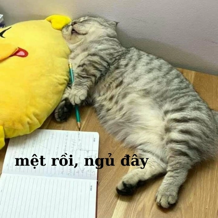 Meme chúc ngủ ngon cho bạn bè