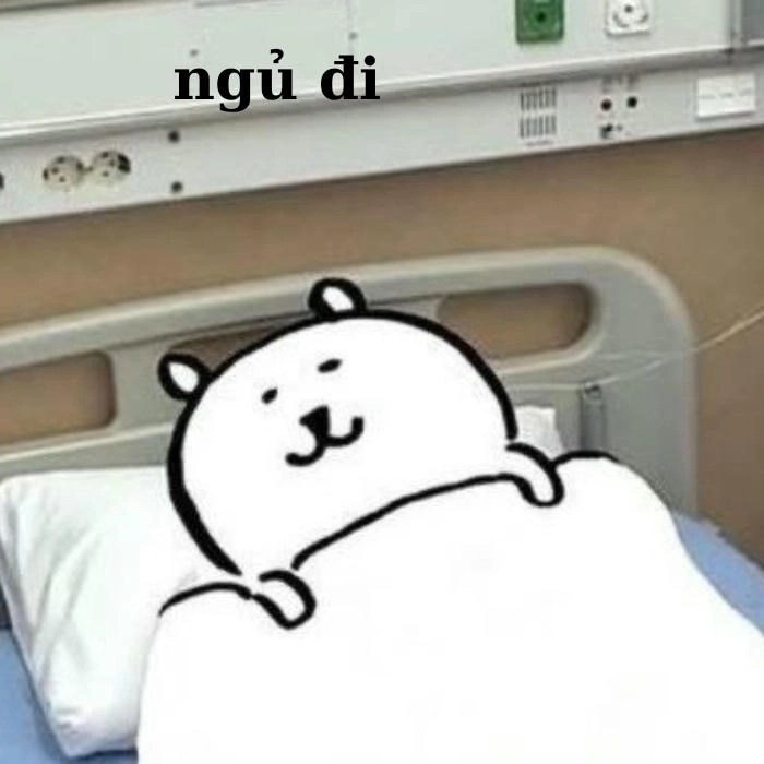 Hình ảnh meme ngủ ngon cho bạn