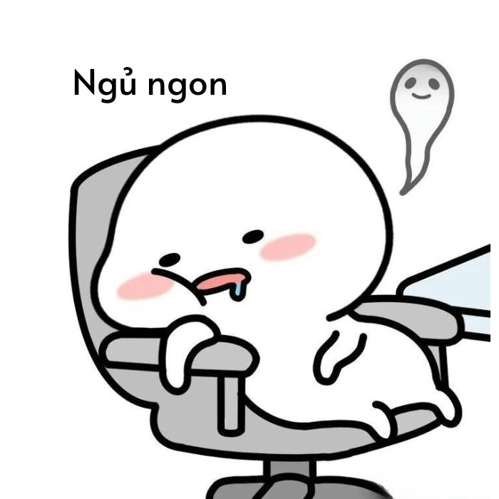 Ảnh meme ngủ ngon