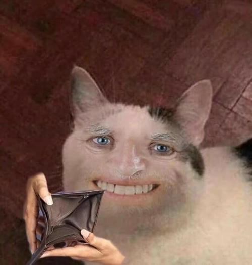 meme mèo cười đểu hài