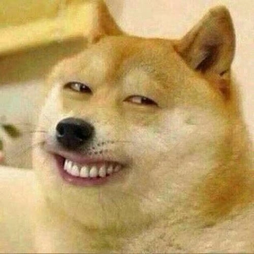 meme chó cười đểu cực lầy