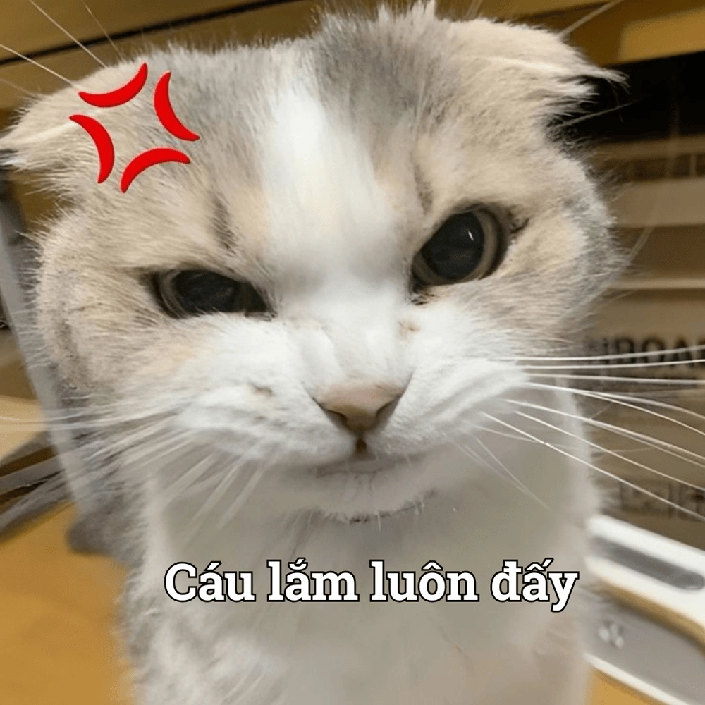 Meme động vật ngộ nghĩnh