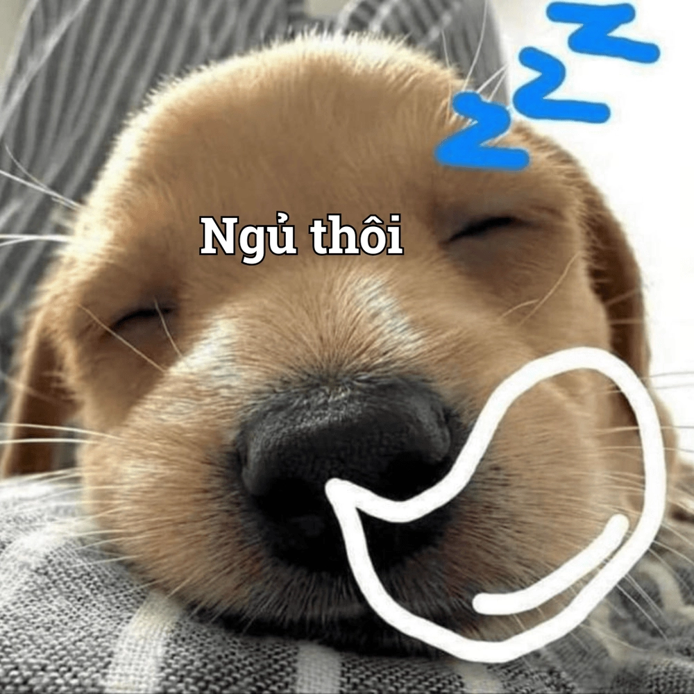 Meme con vật hài hước