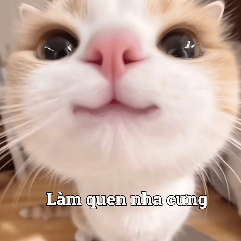 Meme động vật hài hước