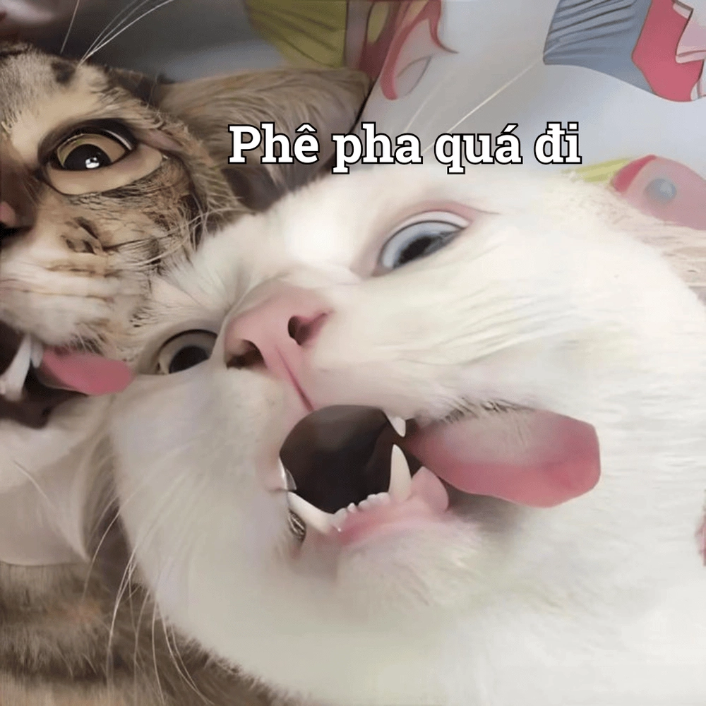 Meme hài động vật