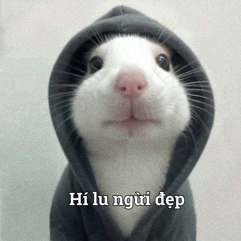 Meme thú cưng lém lỉnh