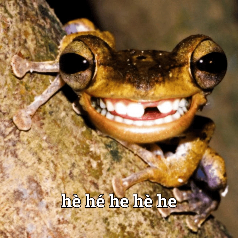 con nhái Meme hài hước