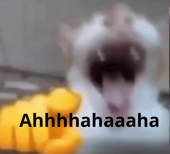 Hahaha meme độc đáo