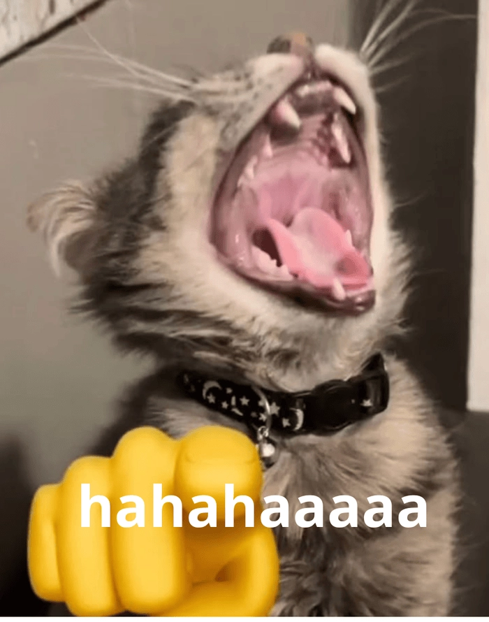 meme hài cười hê hê