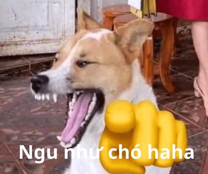 ảnh chế Cười hehe