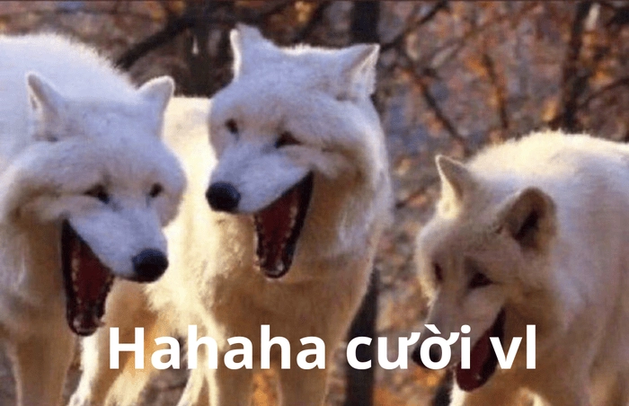 Meme cười hehe