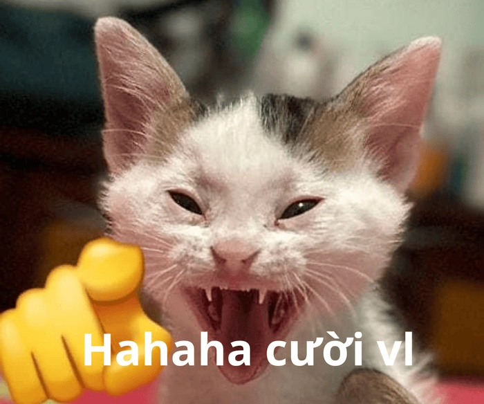 Meme hahaha cực vui