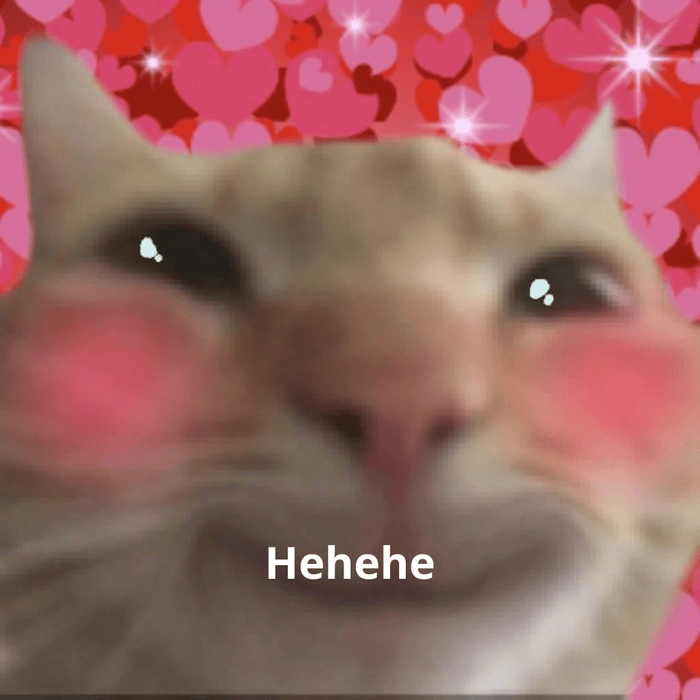 Hehe meme vui