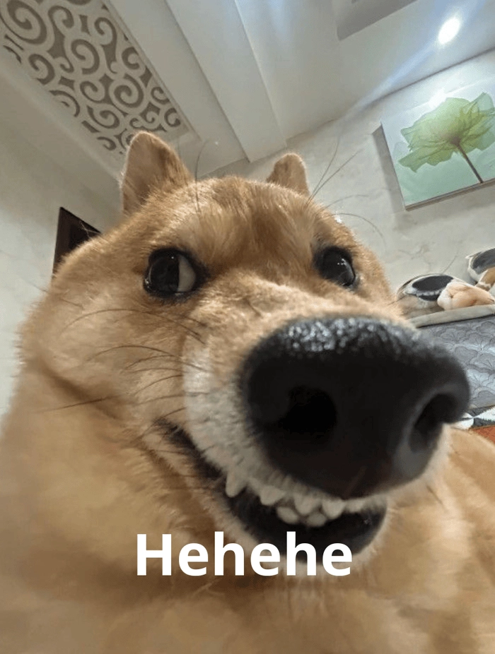 meme hê hê hài hước