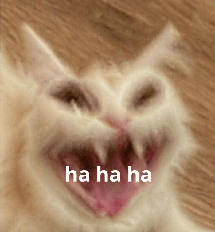 Hehe meme bá đạo