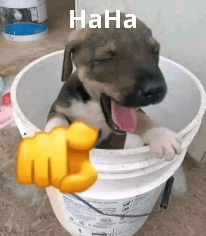Meme hài hước hahaha