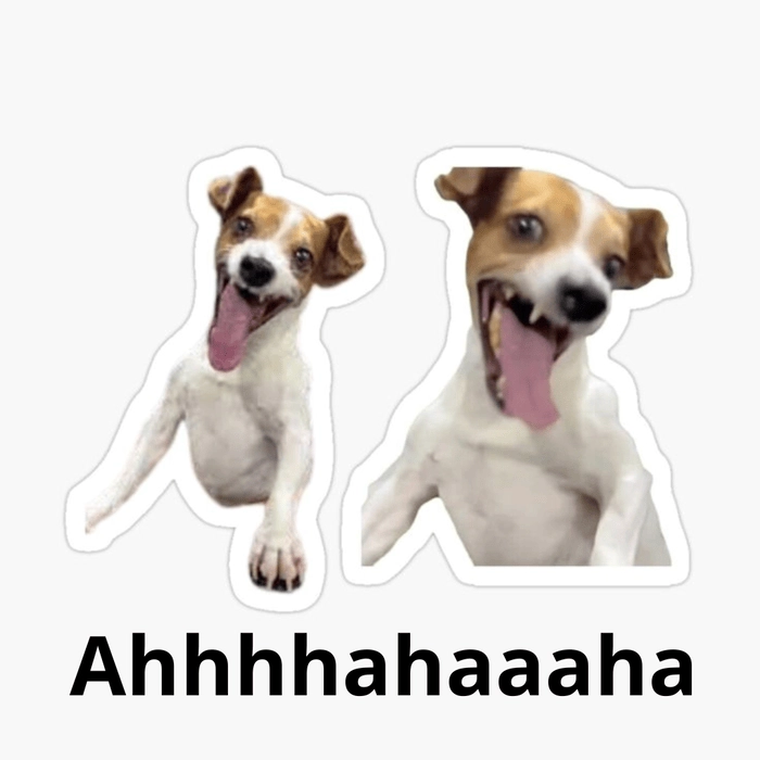 Meme haha chế