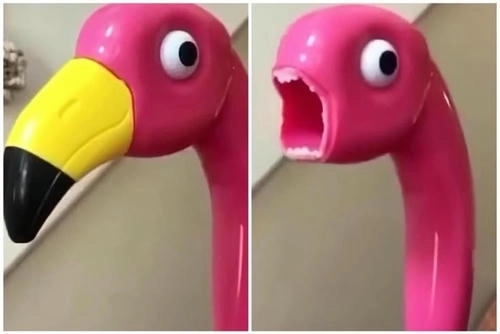 ảnh meme ngạc nhiên đáng yêu