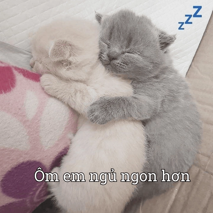 Meme ôm lầy lội