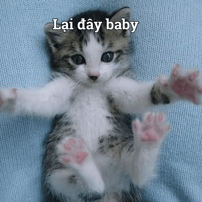 Meme ôm để làm hòa