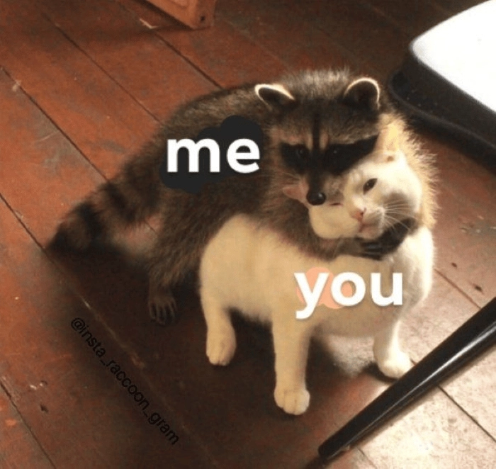 Meme ôm nhau cảm động