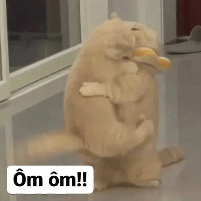 Meme ôm ôm