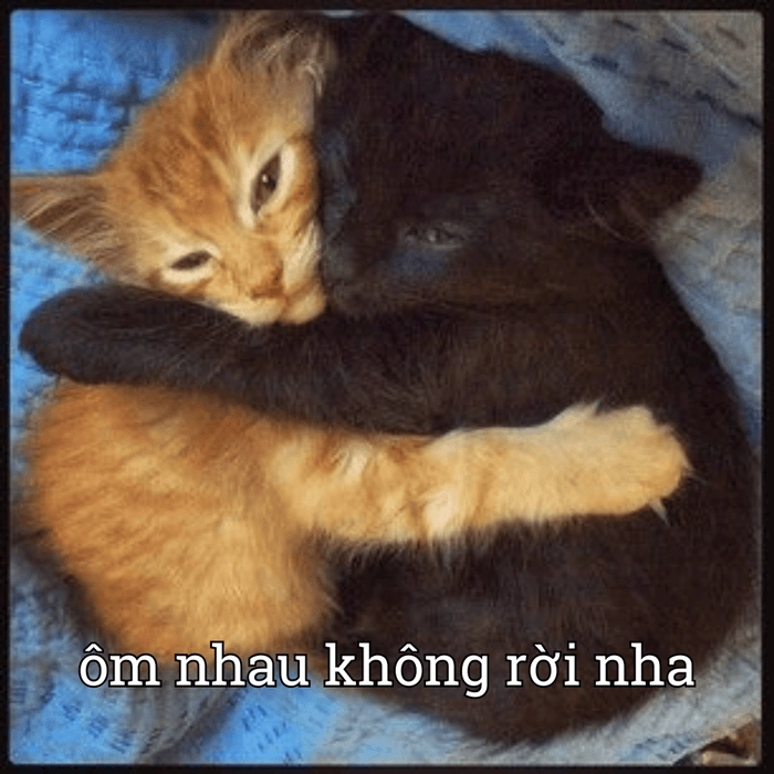 Meme ôm tạm biệt