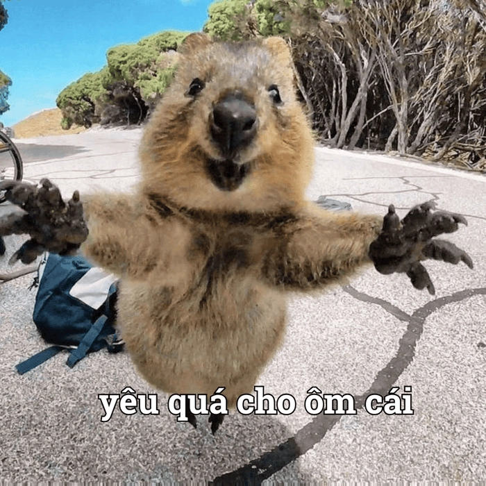 Ảnh chế meme ôm người yêu