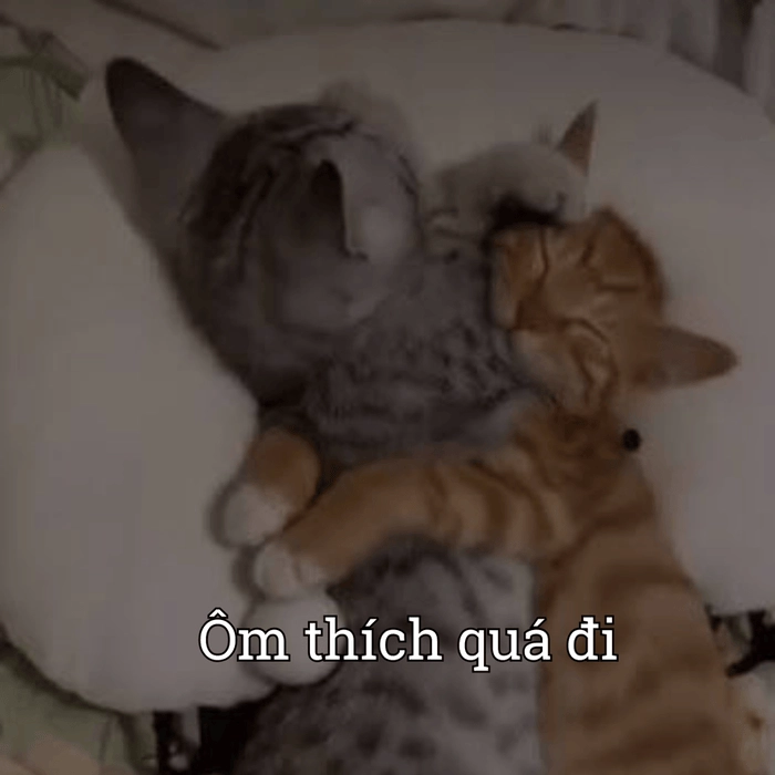 Ảnh meme ôm